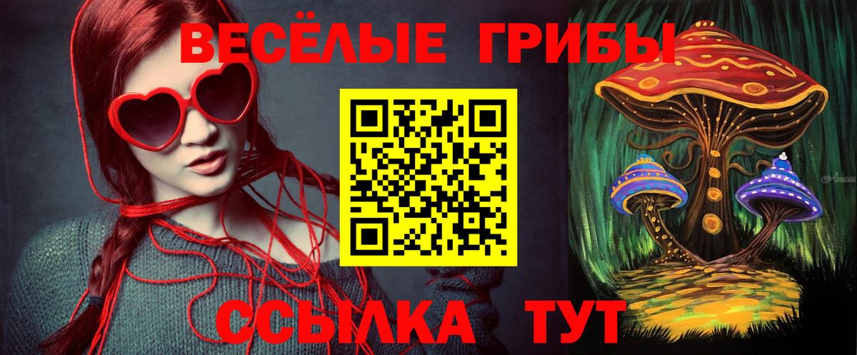 Псилоцибиновые грибы мухоморы Долгопрудный