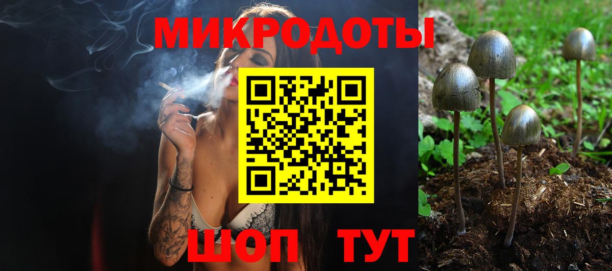 Долгопрудный  закладки  Псилоцибиновые грибы мицелий  Вход с VPN  Псилоцибиновые грибы Magic Shrooms 